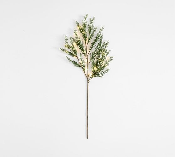 Faux Lit Cedar Berry Pine Branch | Pottery Barn (US)