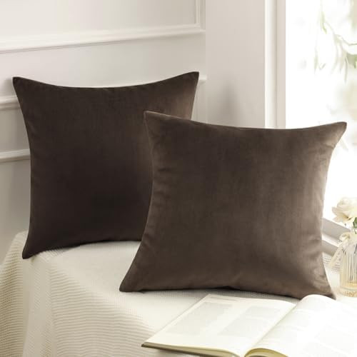 Phantoscope Pack of 2 Velvet Decorative Throw Decorative Pillow Cover Soft Solid Square Cushion C... | Amazon (US)