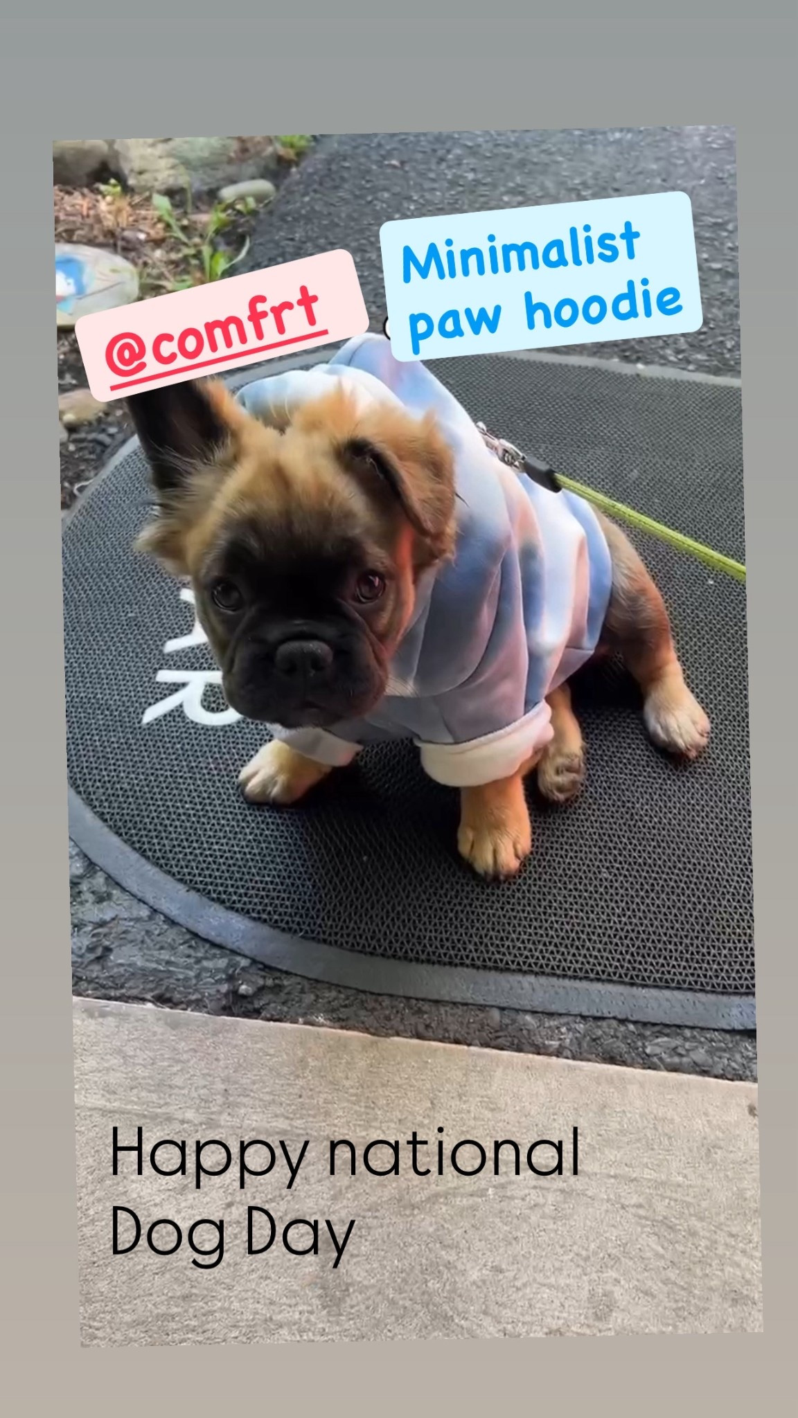 cuddles, zoomies, and matching moments that bring pure joy. Crafted from Comfrt’s softest Combed Cotton Blend™, this hoodie is lightweight, slightly stretchy, and just the right amount of cozy for your furry best friend.  Want a matching set? Grab the Minimalist Tie Dye Hoodie or Crew to match back with your furry sidekick in full Comfrt style. Because matching in Comfrt means more snuggles, more smiles, and a whole lot of tail wags.

#LTKFamily #LTKFallSale #LTKPets