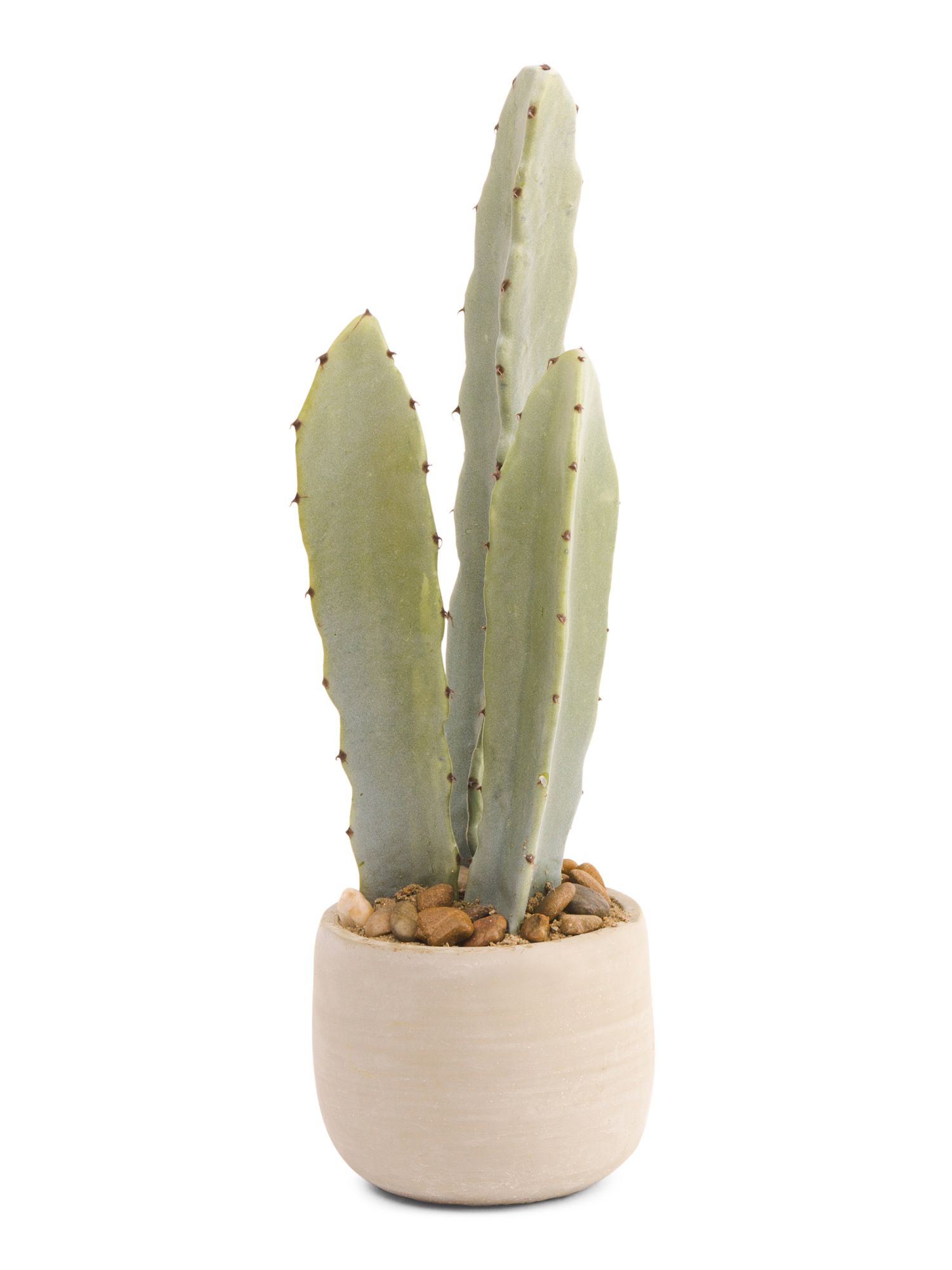 19in Cactus In Cement Pot | TJ Maxx