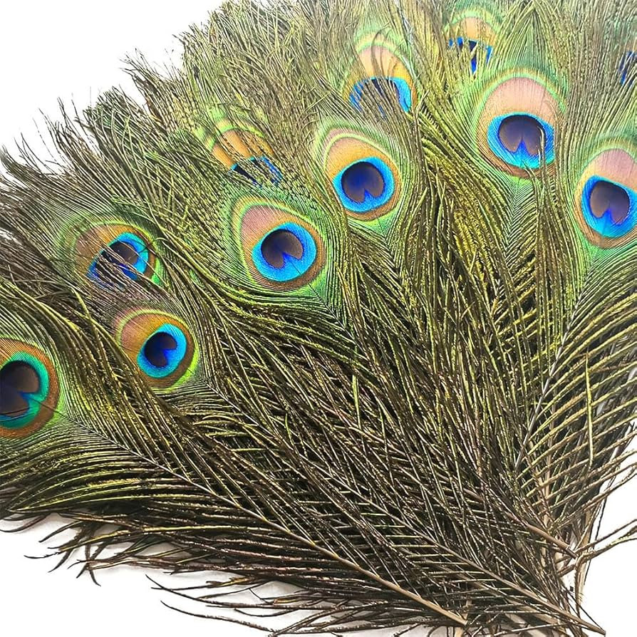 Piokio 10 pcs Natural Peacock Feathers in Bulk 10-12 inch(25-30 cm) Bulk for DIY Craft, Wedding, ... | Amazon (US)