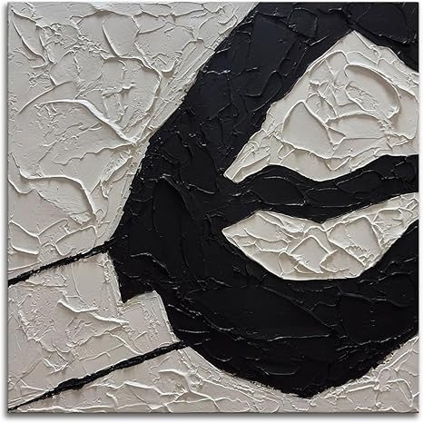 zoinart Black and White Textured Wall Art, Minimalist Abstract Canvas Wall Art, Modern Contempora... | Amazon (US)