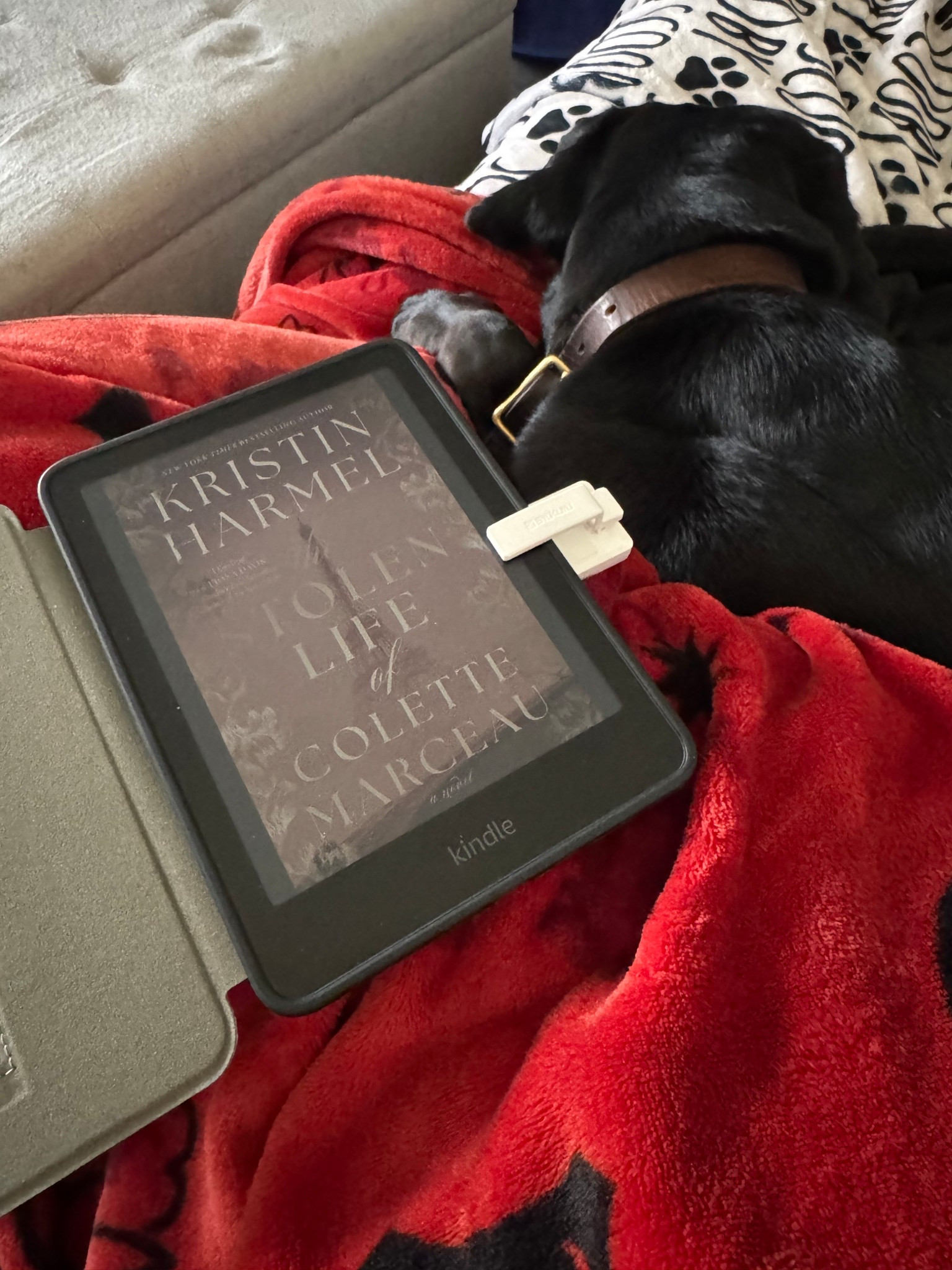 Love reading with my bestie curled up next to me 📚🐾

#LTKHome #LTKdayinmylife #LTKmorningroutine