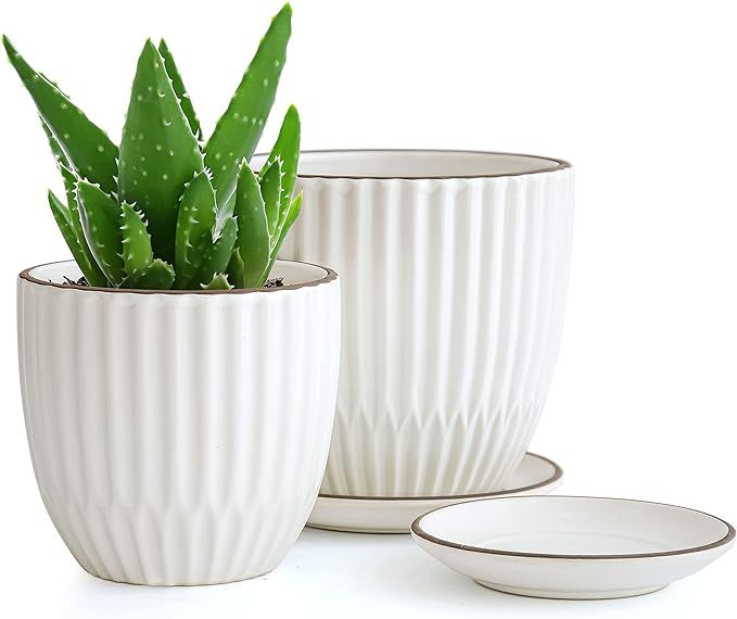 Set of 2 Stoneware Planter Pots, Ceramic Pot with Drainage Hole and Saucers, 4 Inch & 6 Inch, Ivo... | Amazon (US)