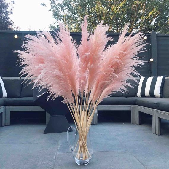 Fluffy Pink Pampas Grass for Home Decor Tall Pampas Reed | Etsy | Etsy (US)
