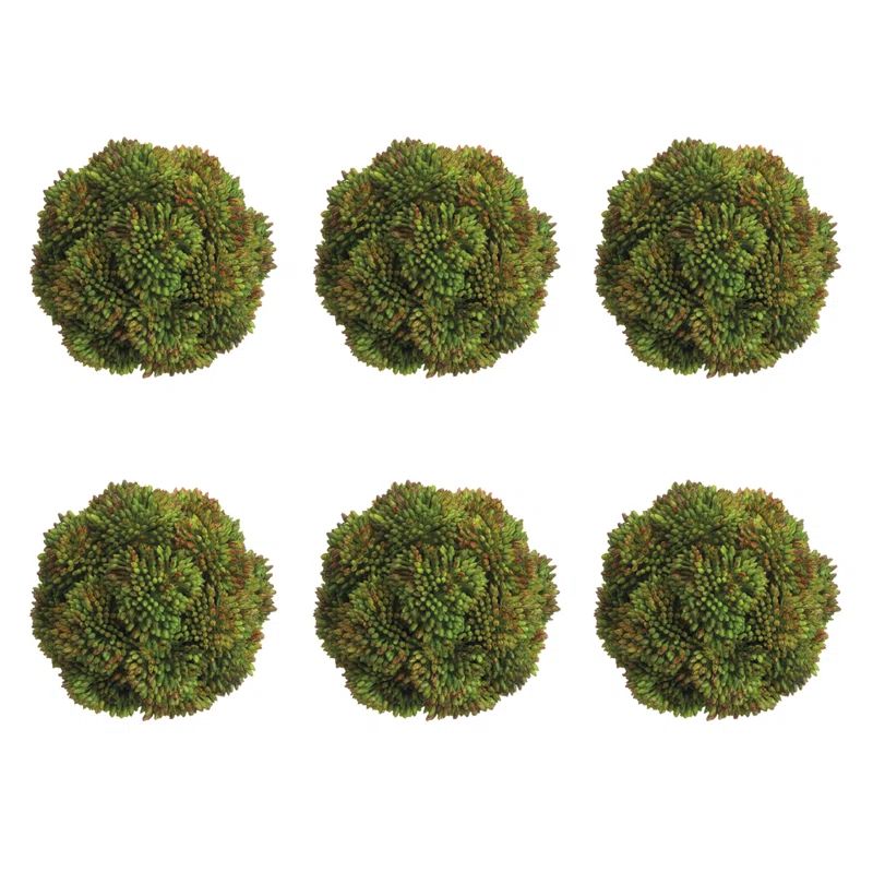 Decorative Sedum Balls | Wayfair North America