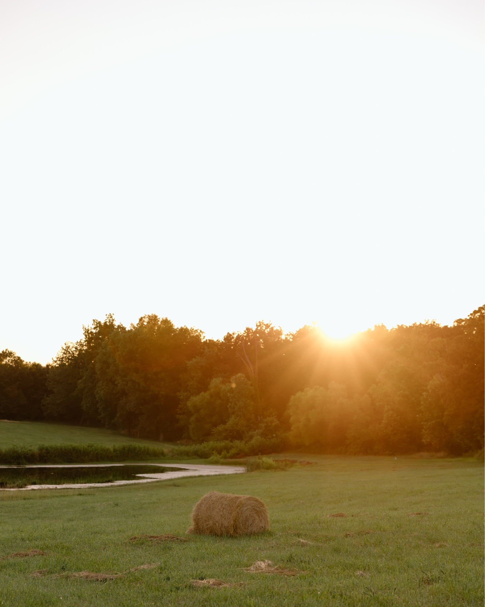 brads sister took these photos and they are just so incredibly beautiful. 🇺🇸✨❤️

linking farm favorites 🐓👢🌿🇺🇸🤠🧺

#LTKWorkwear #LTKHome #LTKPets