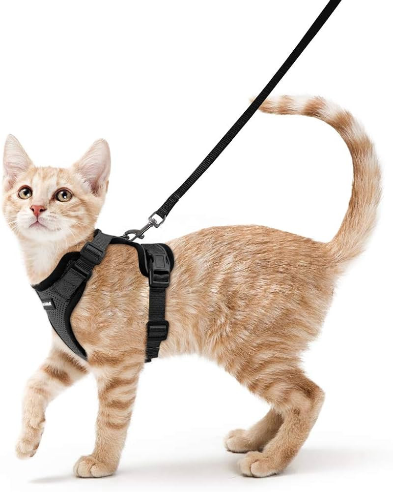 rabbitgoo Cat Harness and Leash for Walking, Escape Proof Soft Adjustable Vest Harnesses for Cats... | Amazon (US)