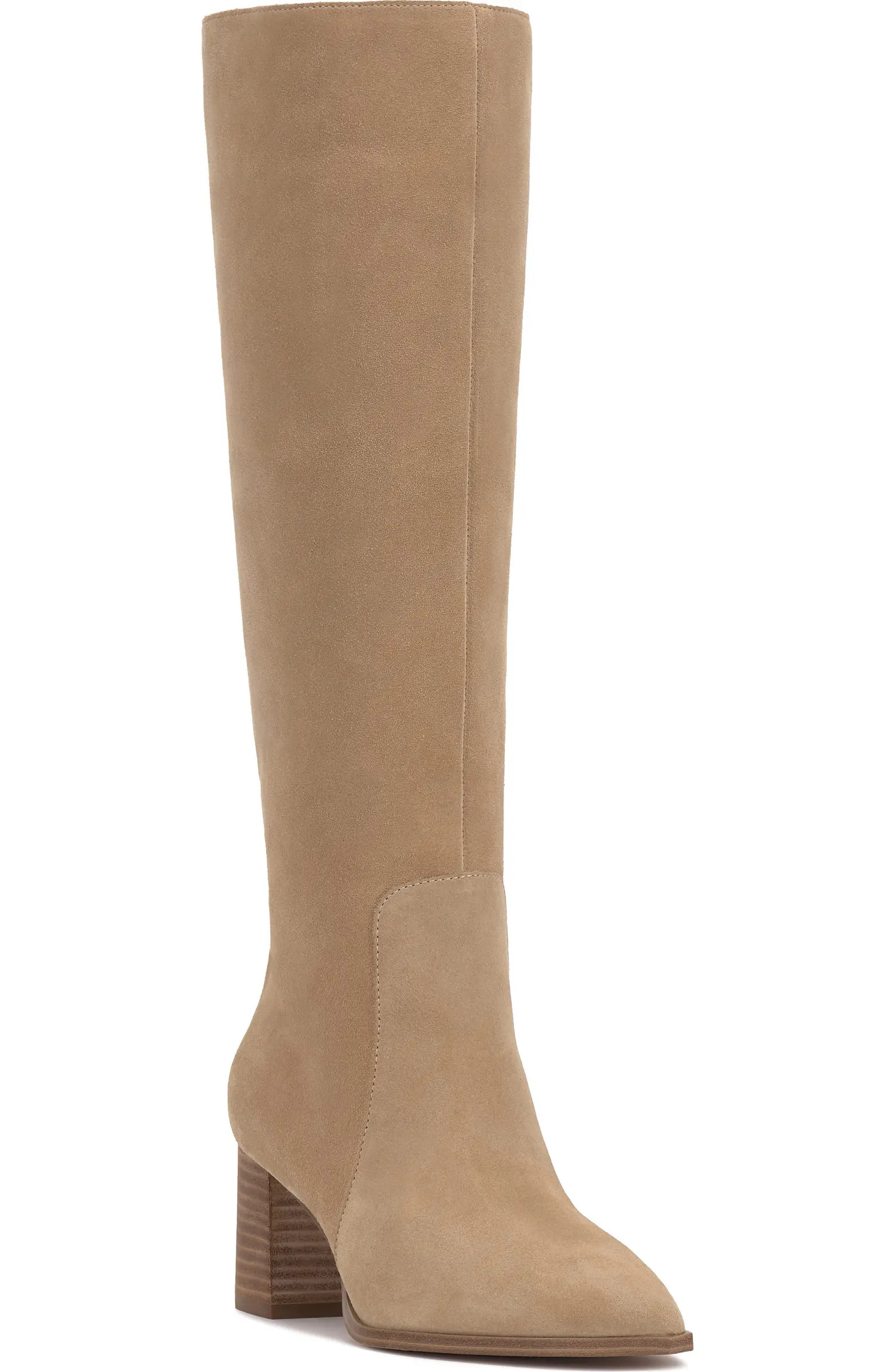 Lumina Pointed Toe Boot (Women) | Nordstrom