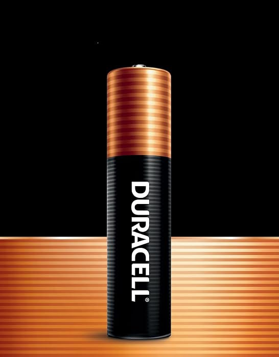 DURACELL Coppertop AA Alkaline Batteries with Power Boost Ingredients, Long-Lasting Double A Alka... | Amazon (US)