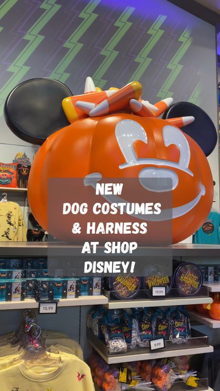 NEW Dog Halloween Costumes at Shop Disney, Disneyland and More! Costumes For Dogs 🐶 🥰

#LTKSeasonal #LTKhome #LTKfamily