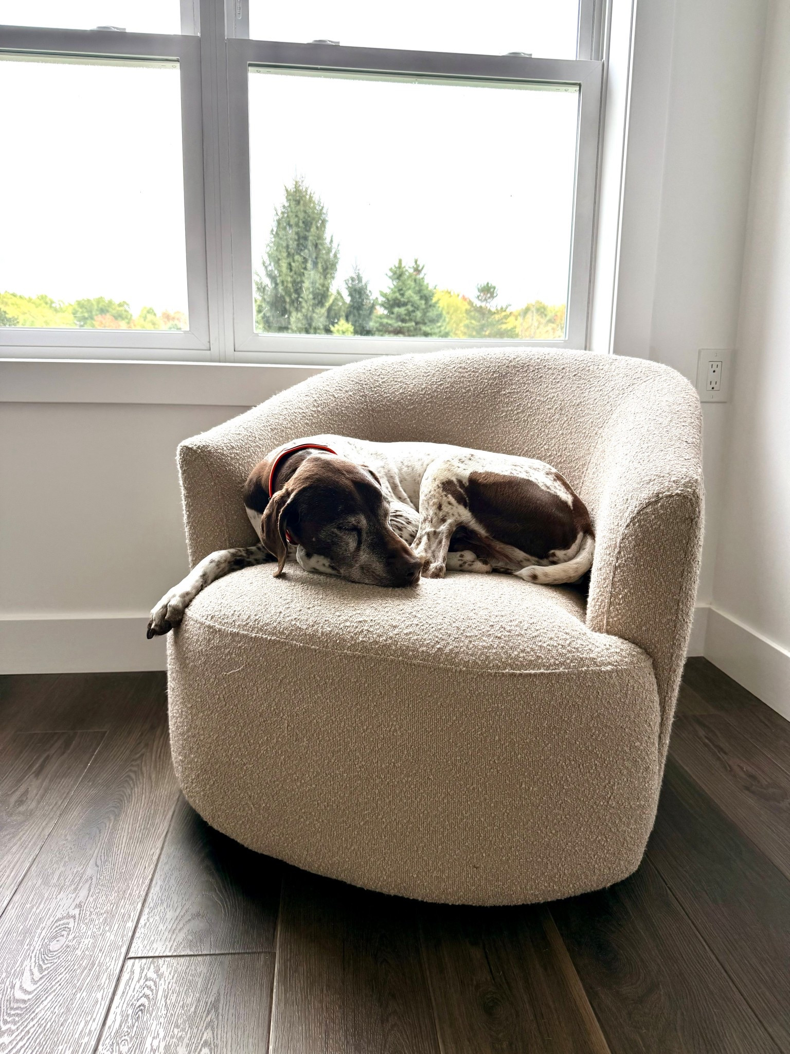 Swivel chair! 