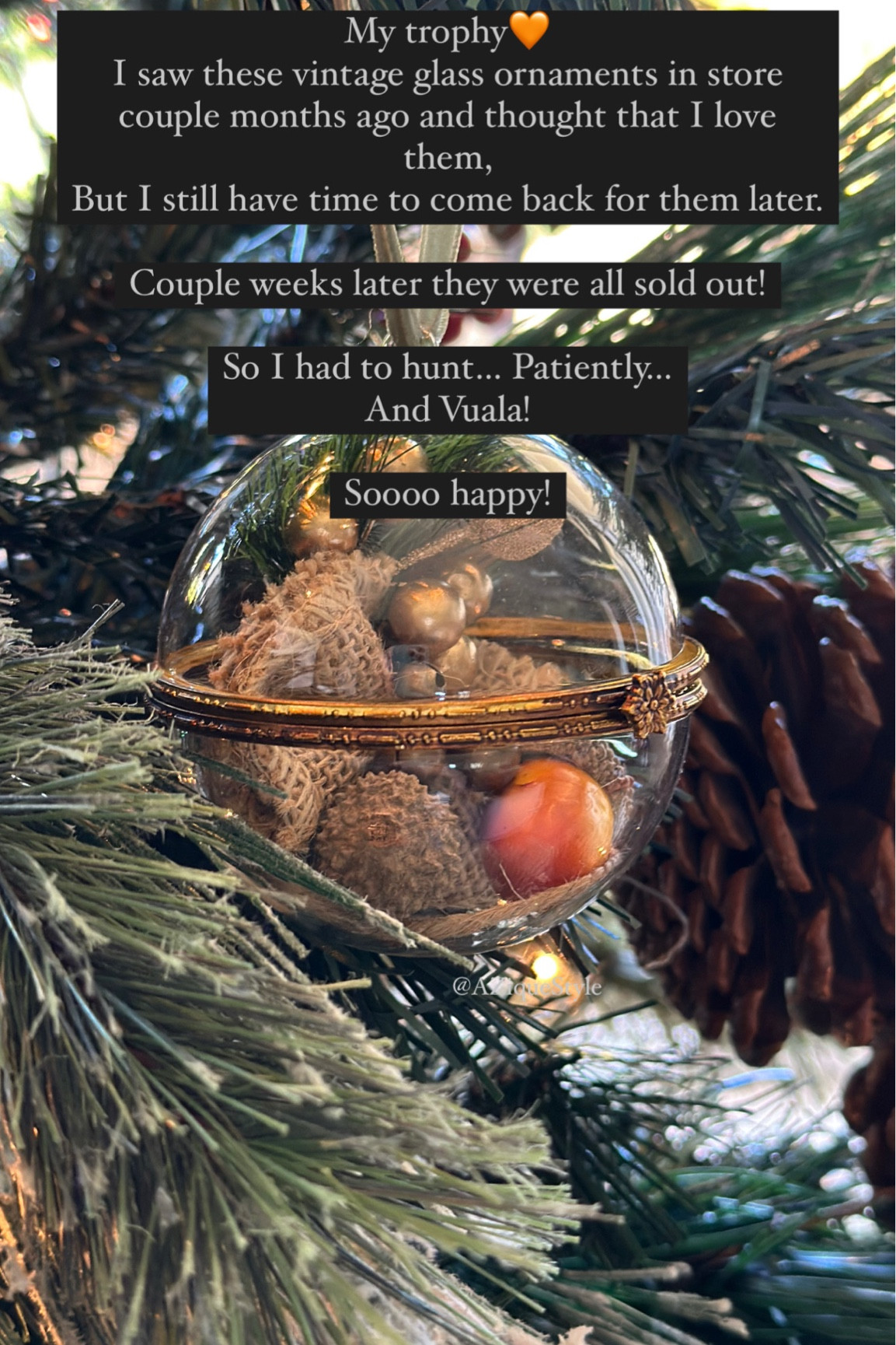 Love these ornaments. They are my 2024 trophies! #aziquestyle #christmas2024

#LTKGiftGuide #LTKHoliday #LTKSeasonal