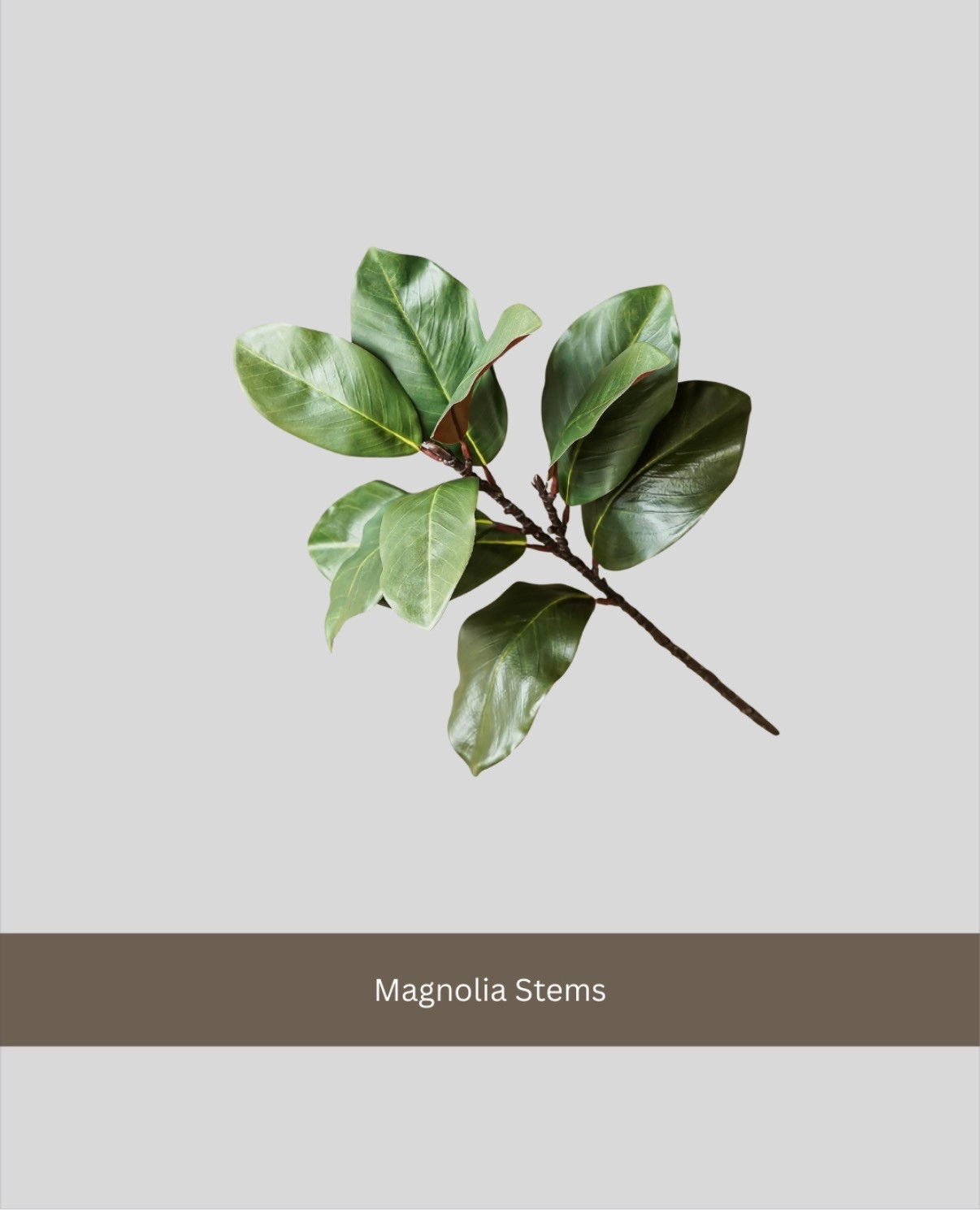 Perfect for year round vase fillers.