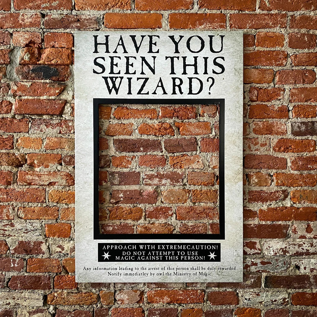Have You Seen This Wizard Photo Booth Prop Frame Wanted Poster - Etsy | Etsy (US)