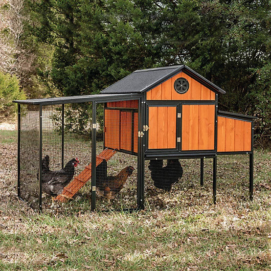 Producer's Pride  Sentinel Chicken Coop, 6 Chicken Capacity | Tractor Supply