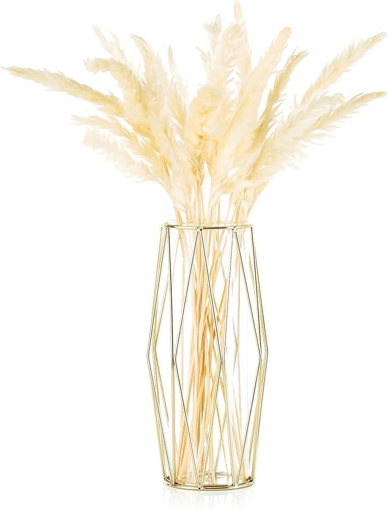 Gold Pampas Grass Vase for Flower, 1Pc Glasseam Modern Geometric Metal Decor Vases with Clear Gla... | Amazon (US)