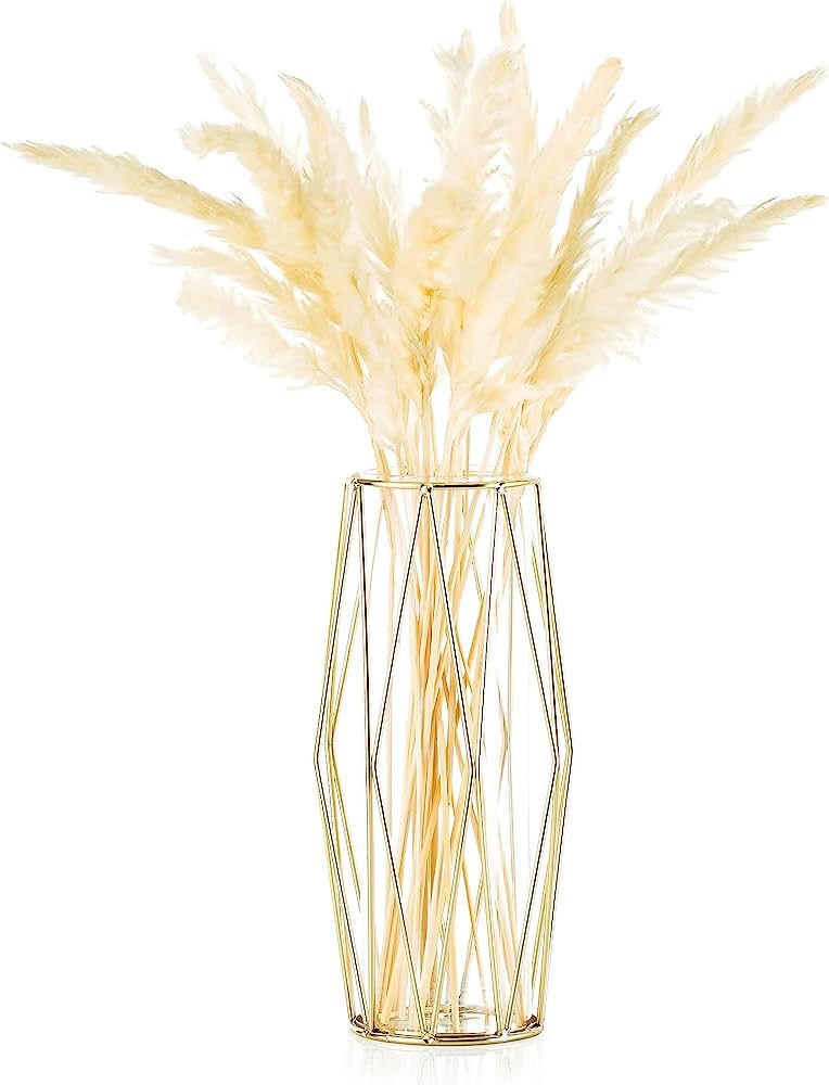 Gold Pampas Grass Vase for Flower, 1Pc Glasseam Modern Geometric Metal Decor Vases with Clear Gla... | Amazon (US)