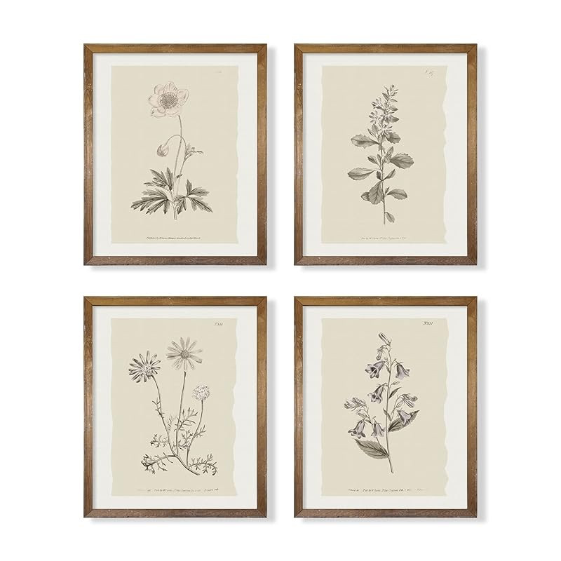Vintage Botanical Plant Wall Art Prints - Neutral Boho Minimalist Flower Floral Posters Picture f... | Amazon (US)