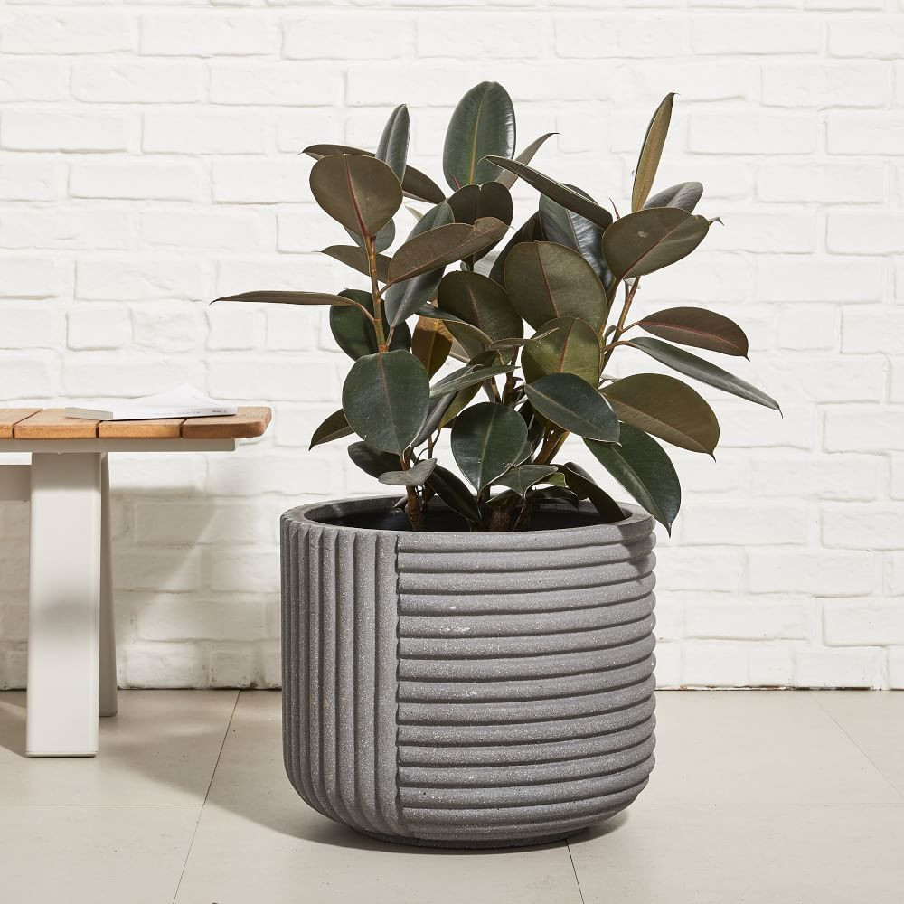 Cecilia Ficonstone Indoor/Outdoor Planters | West Elm (US)