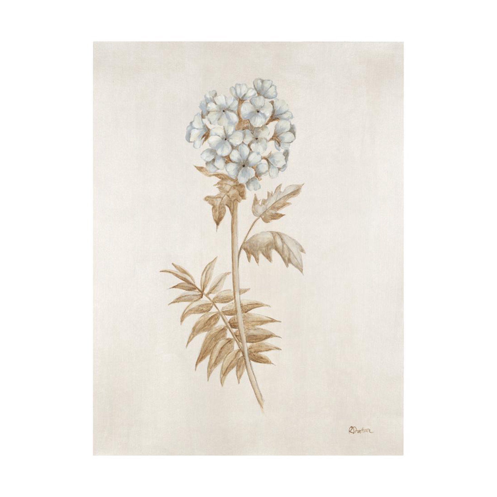 French Botanicals VI Print Wall Art By Rikki Drotar | Walmart (US)