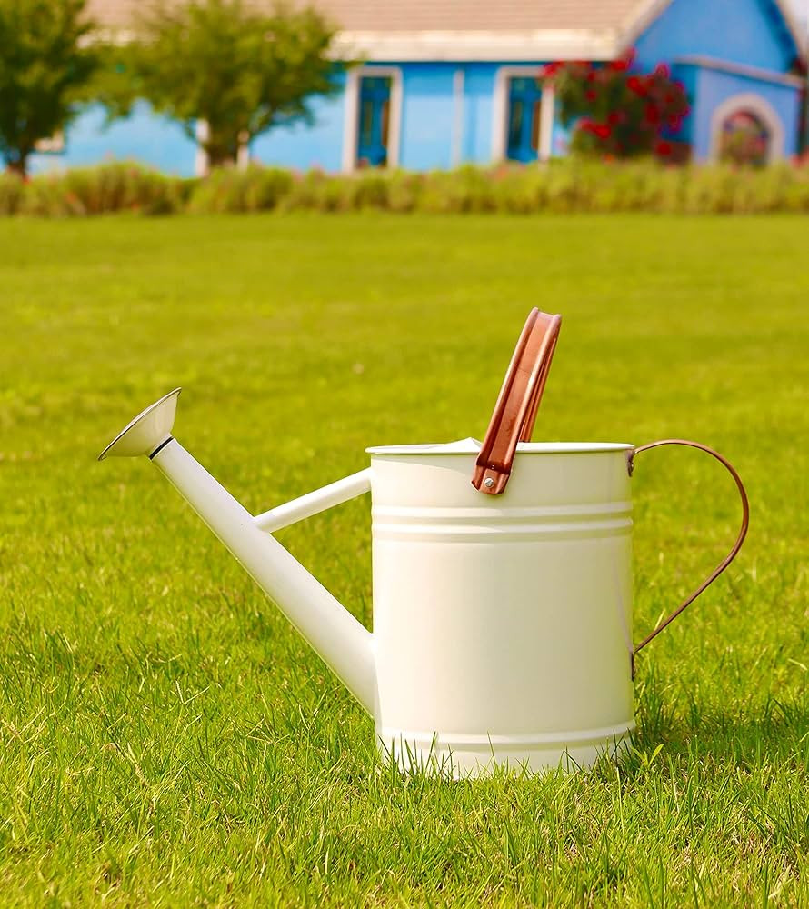 WEQUALITY Watering Can for Outdoor&Indoor Plants，1 Gallon Metal Plant Watering Can with Copper ... | Amazon (US)