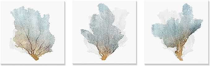 JAPO ART 3 piece Delicate Coral Wall Decor for Bedroom Coastal Wall Art Home Decor Framed Sea Fan... | Amazon (US)