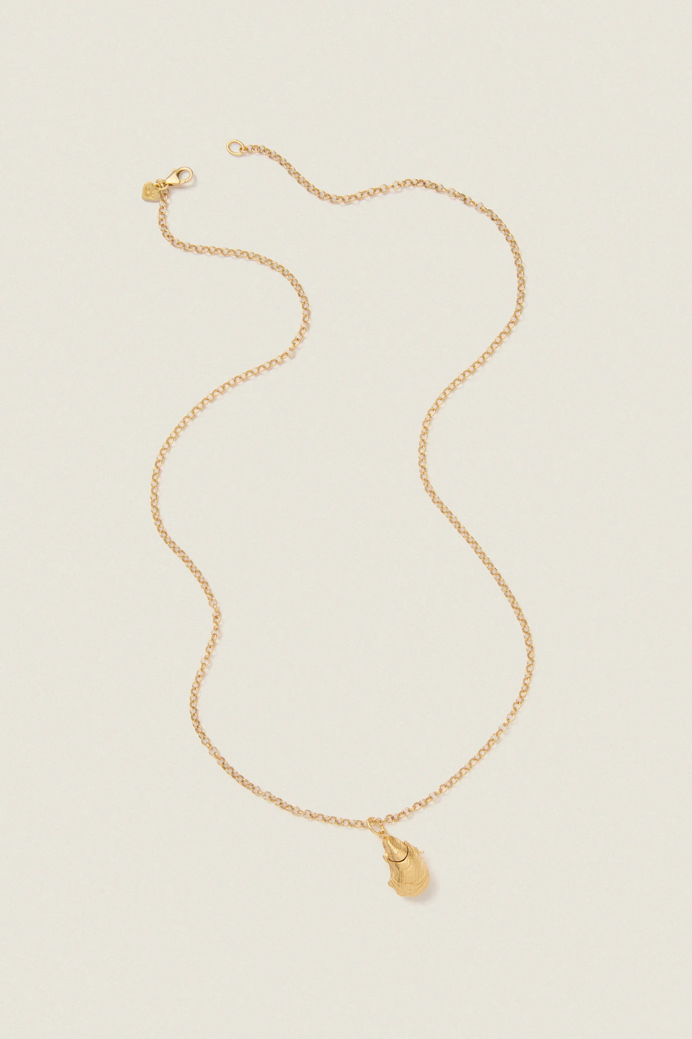 Gold Oyster Vesta Case 26" Necklace | Tuckernuck (US)