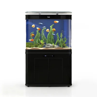 Curved Bottom-Filter Ecological High-Definition Aquariums Tank | Wayfair North America