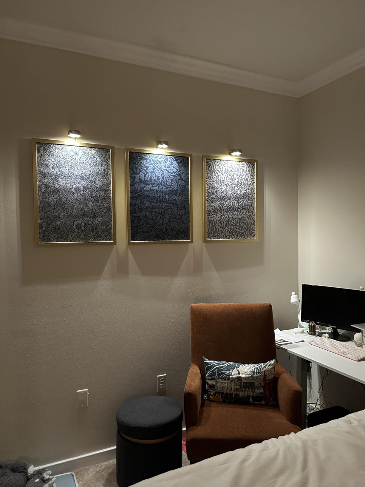 EZVALO Picture Lights for Wall, 2000mAh Rechargeable Battery Magnetic Poster Lights with 3 Color ... | Amazon (US)