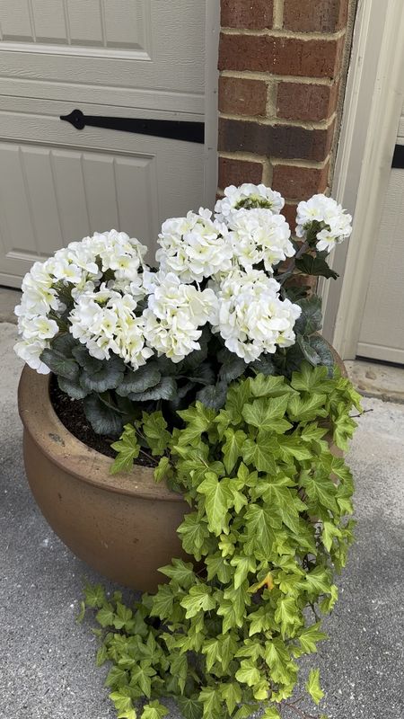Only $12.99 for a stem of these geraniums which have 7 heads of blooms per stem!  





Amazon garden and patio planter, artificial flowers  faux flowers, geraniums begonias

#LTKfindsunder50 #LTKSeasonal #LTKhome