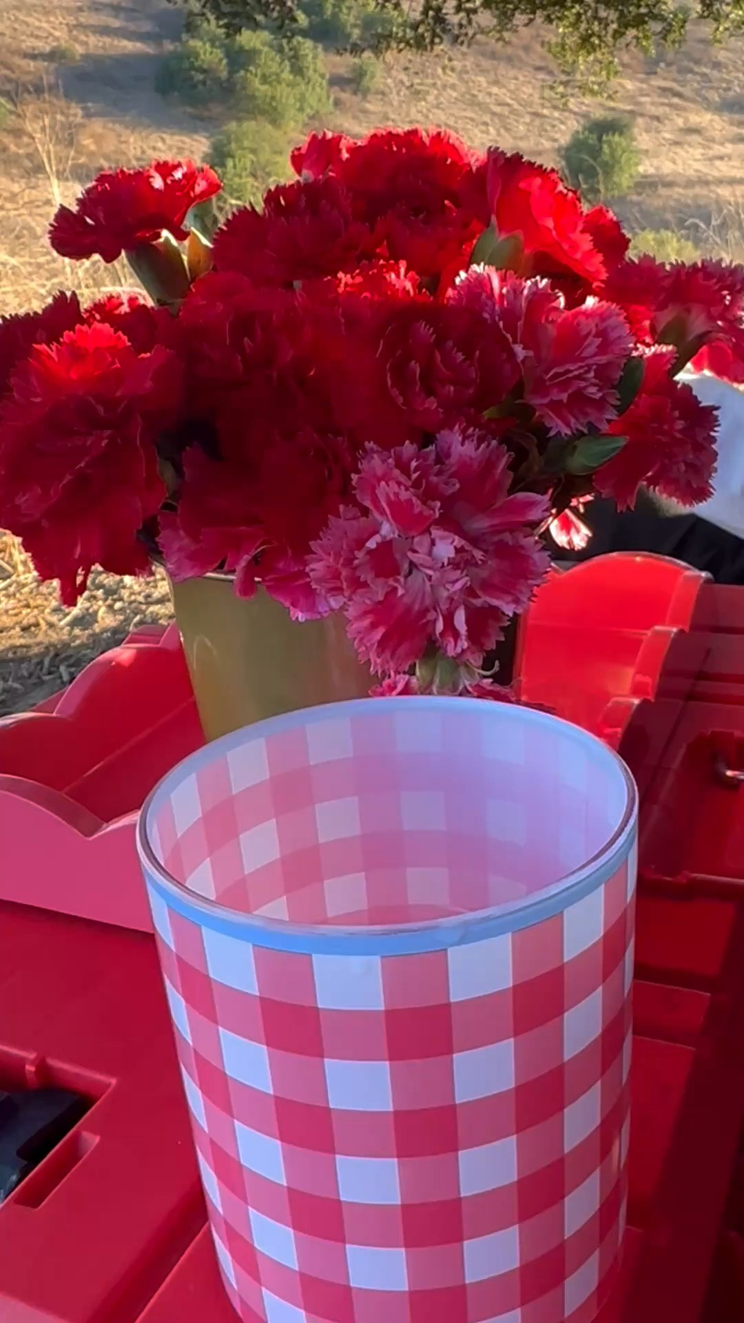 Outdoor cocktail hour, reimagined. ✨

I love the contrast of bringing elegant details into the wild. A beautifully styled tray, vibrant carnations, and playful gingham instantly transform a simple outdoor setting into something unforgettable.

Against the golden summer hills, every color feels richer, every moment feels slower.

Featuring my favorite Tray Watermelon—perfect for outdoor entertaining all summer long. 🍉

Shop my outdoor favorites on LTK.

#LTKHome #LTKOutdoor #OutdoorCocktail #SummerEntertaining #OutdoorStyling #Tablescape #TrayDecor #CocktailHour #PicnicStyle #FourthOfJuly