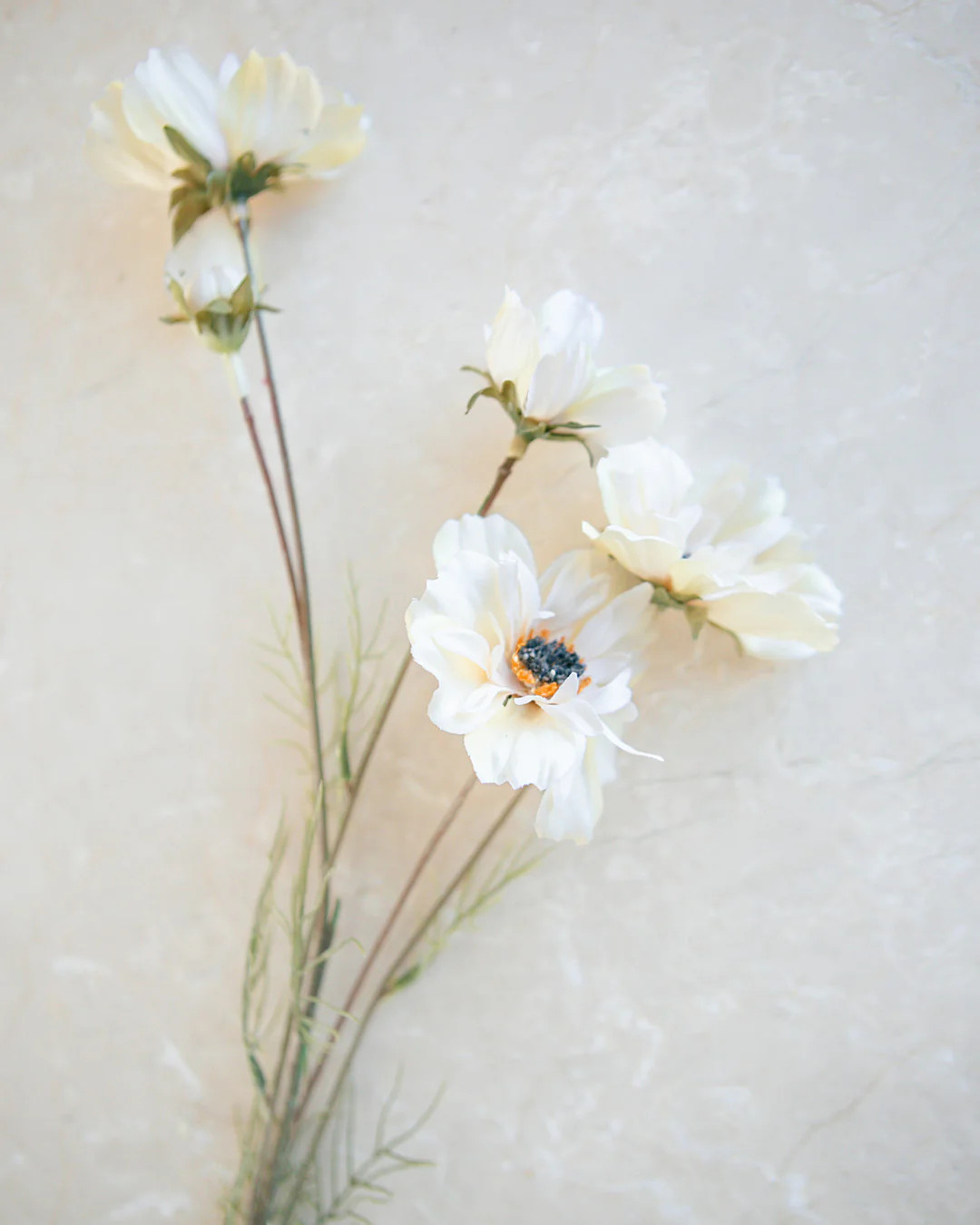 Meadow Stem | Elements by Remedy