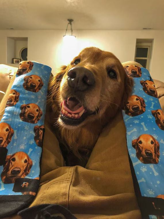 Customized Dog Socks  Put Your Cute Dog on Custom Socks Dog - Etsy | Etsy (US)