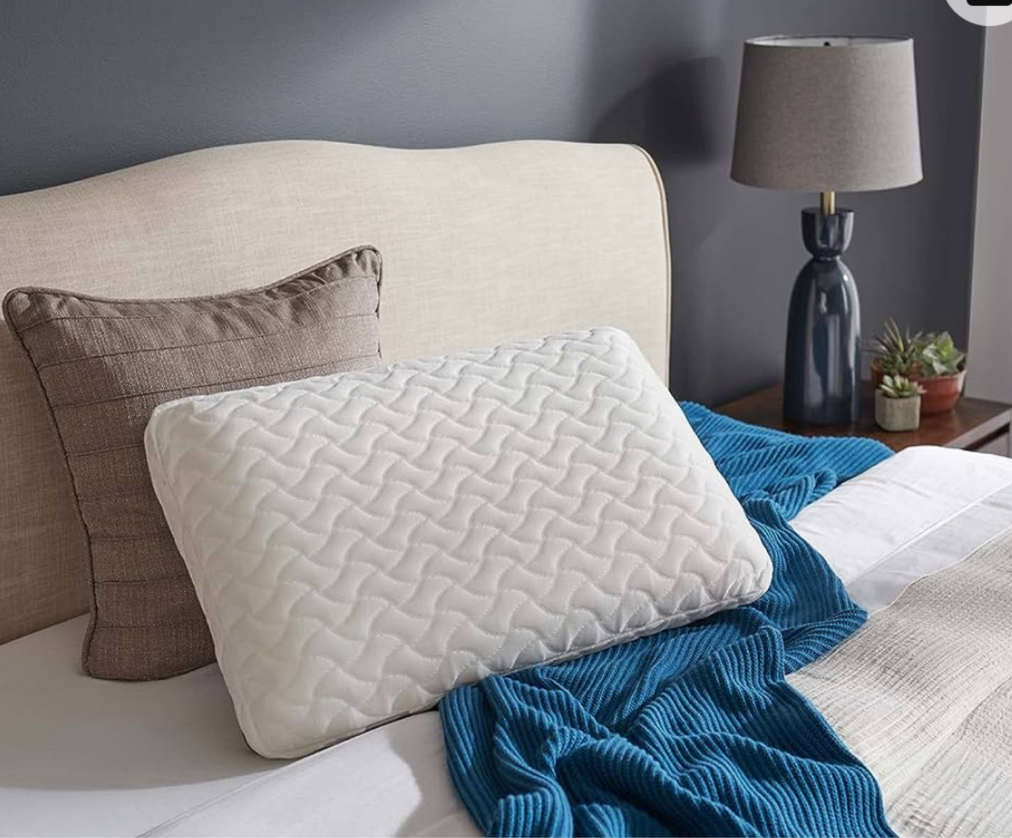 Linking to our favorite pillows ever! These tempurpedic pillows are seriously the only pillows I can sleep on. I always get asked about them when guests spend the night in our guest room. Worth EVERY penny.



#LTKHome #LTKFamily