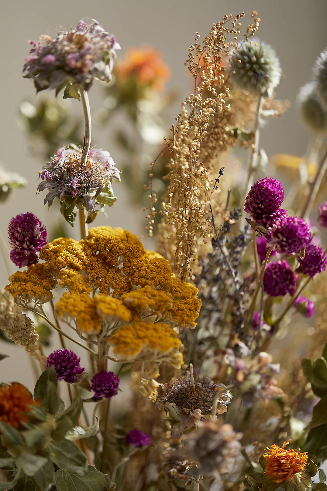 Preserved Fall Perennial Garden Bouquet | Anthropologie (US)