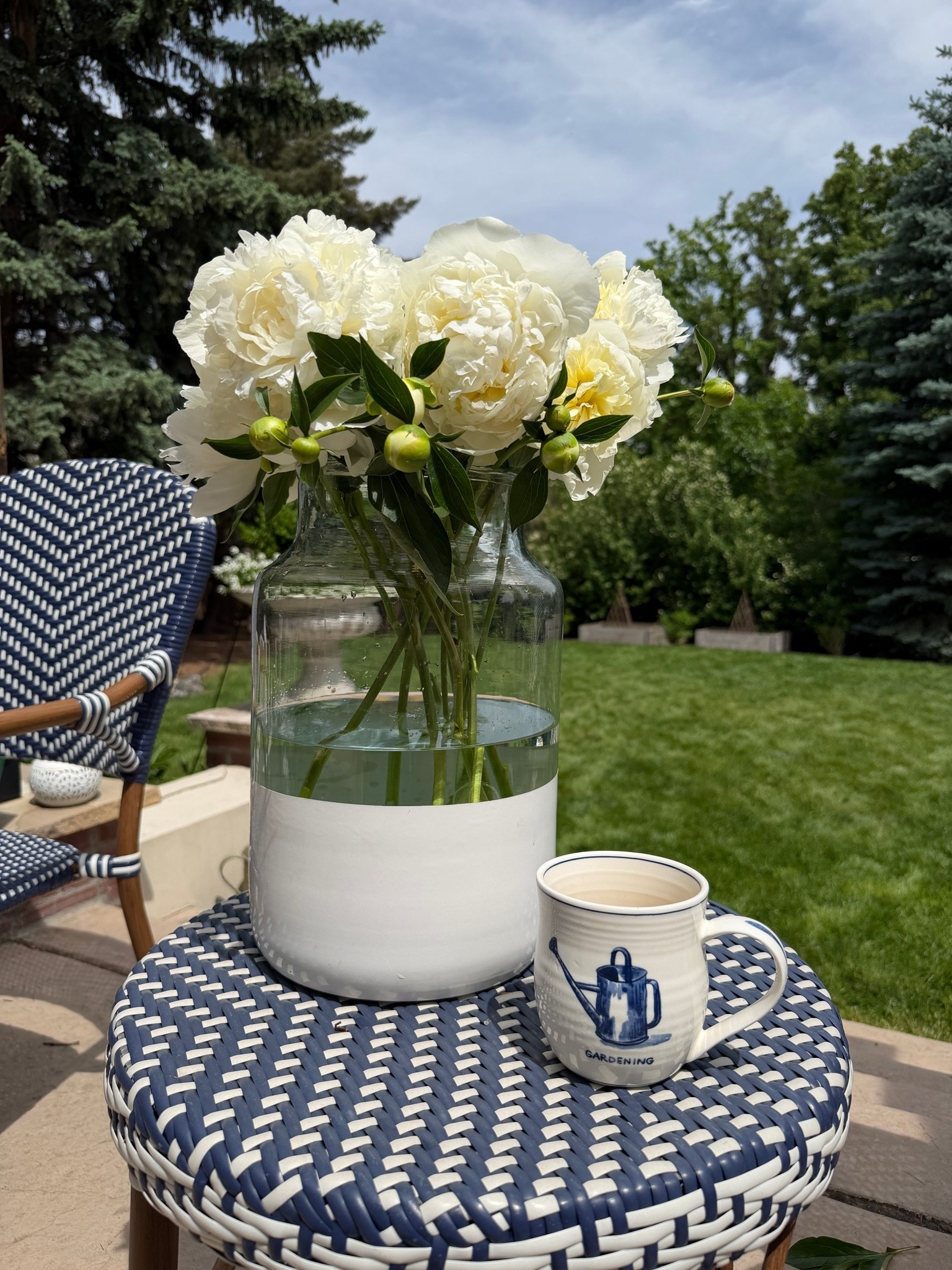White and blue! Peonies and coffee and sunshine!💙☕️

#LTKmorningroutine #LTKSeasonal