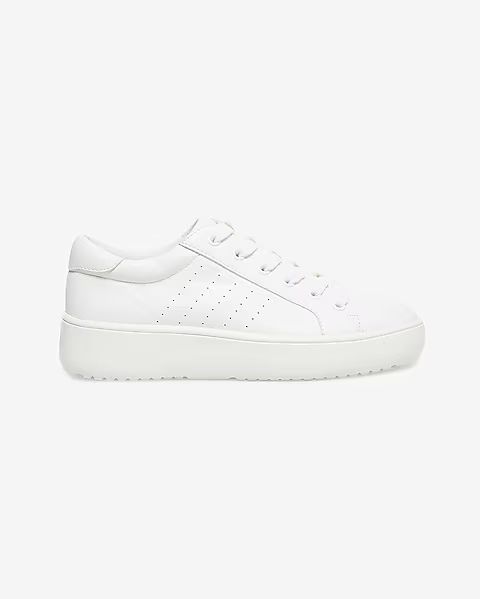 Steve Madden Blade Sneakers | Express