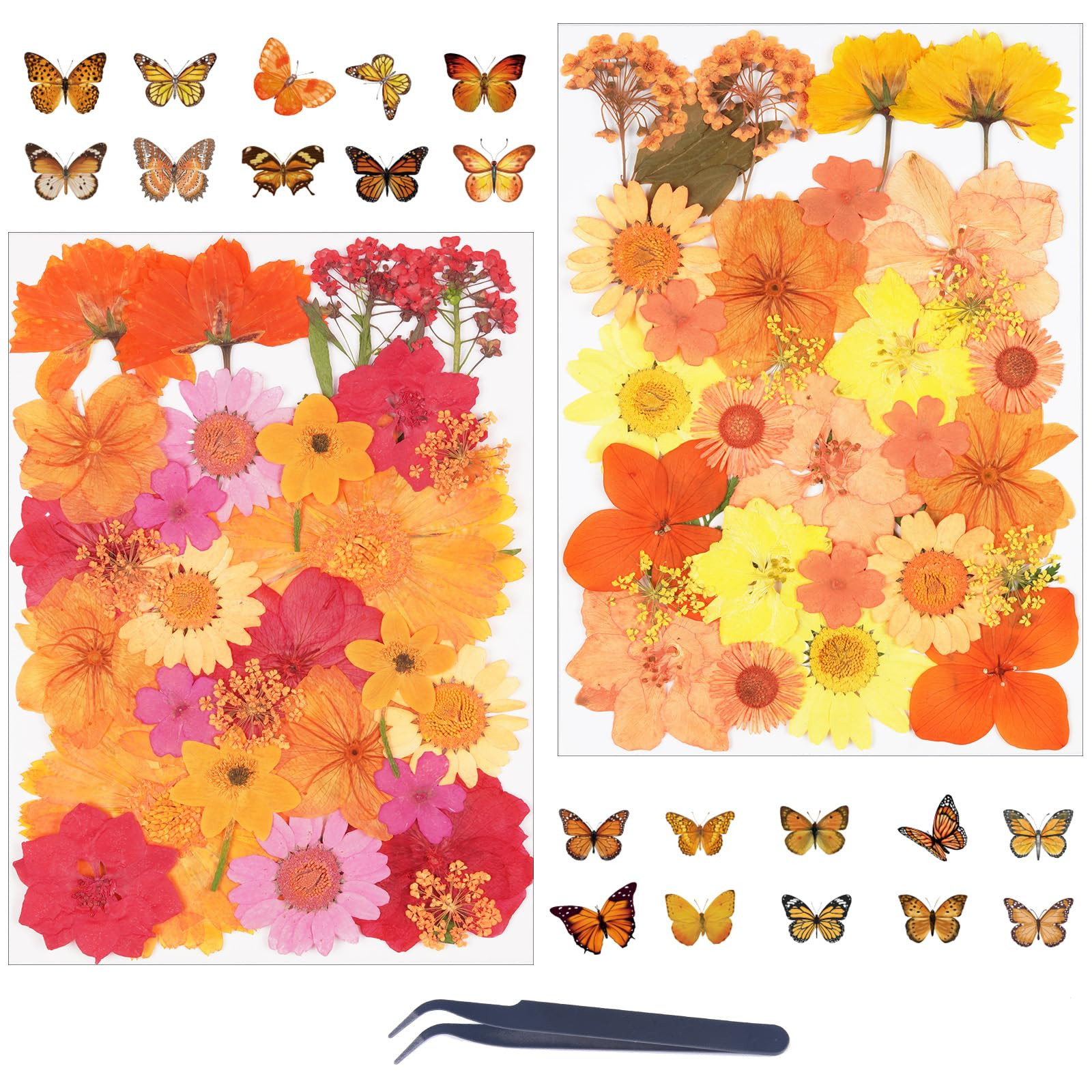81Pcs Dried Fall Pressed Flowers for Crafts,Xinxinran Dry Flower Kit for Resin Molds,Epoxy Resin ... | Amazon (US)