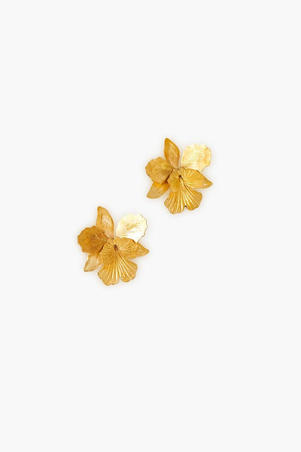 Gold Little Laelia Earrings | Tuckernuck (US)