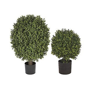 Single Ball Outdoor Boxwood Topiary | Frontgate