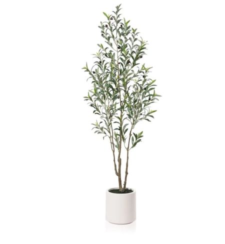 6FT Artificial Muti-Trunk Olive Tree Plants with 10.6 inches Large White Planter. 10 lb. DR.Planzen 

#LTKsalealert #LTKhome #LTKfindsunder100