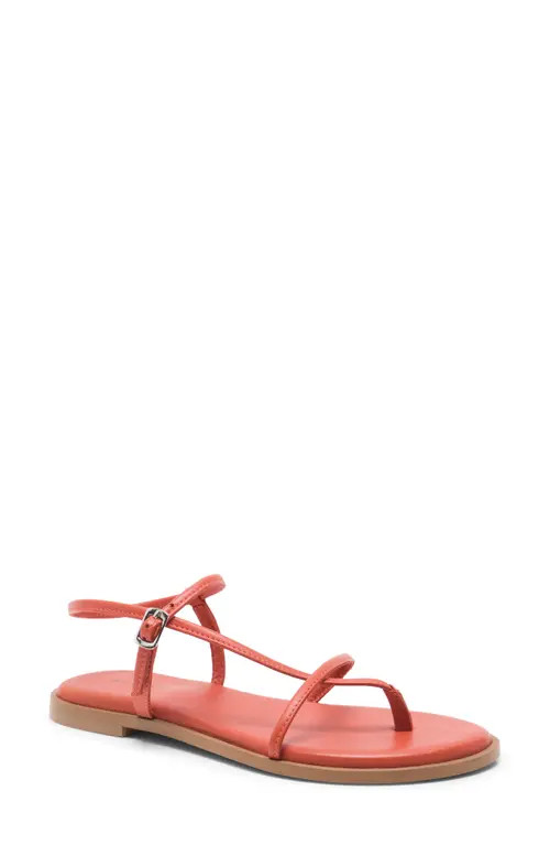 Free People Corsica Ankle Strap Sanal in Vermillion at Nordstrom, Size 6.5 | Nordstrom