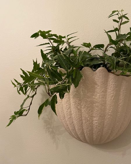 comes in two sizes (this is the large!)

wall planter , wall decor , neutral wall decor 

#LTKhome