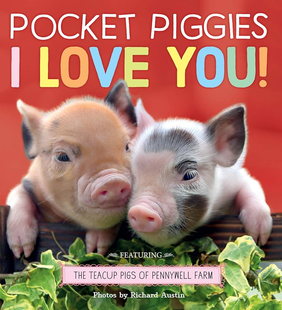 Pocket Piggies: I Love You! | Amazon (CA)