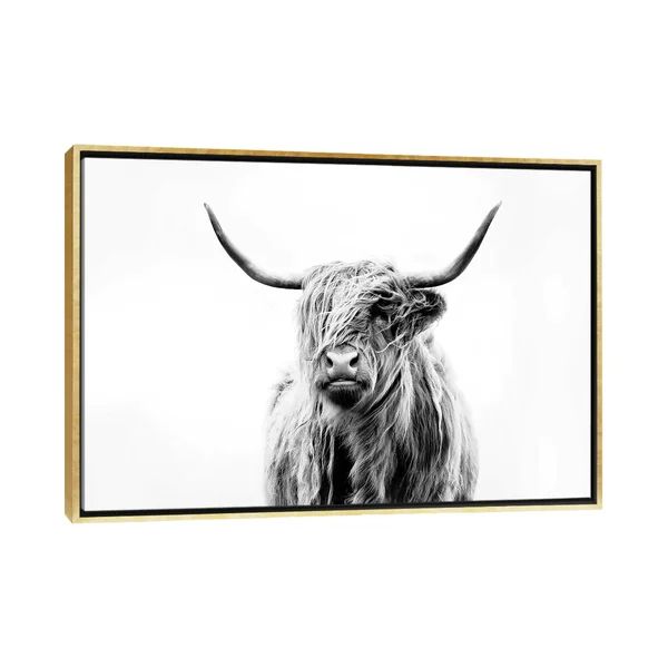 'Portrait of a Highland Cow' by Dorit Fuhg - Painting Print | Wayfair North America