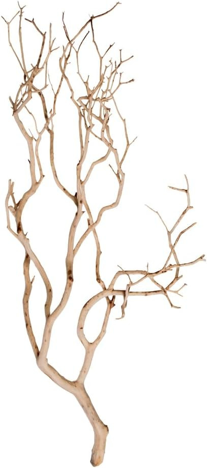 Vickerman Manzanita Tree Sand Blasted 24", Dried | Amazon (US)