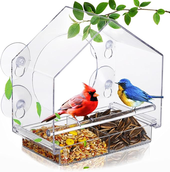 Window Bird Feeders with Strong Suction Cups - Clear Window Bird Feeders for Outside - Wild Bird ... | Amazon (US)