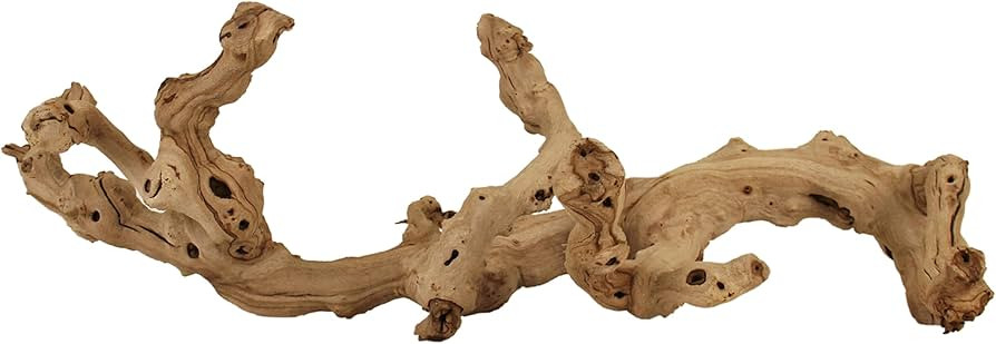 De La Terre Sandblasted Natural California Grapevine Grapewood | Decorative Grape Vine Wood Déco... | Amazon (US)