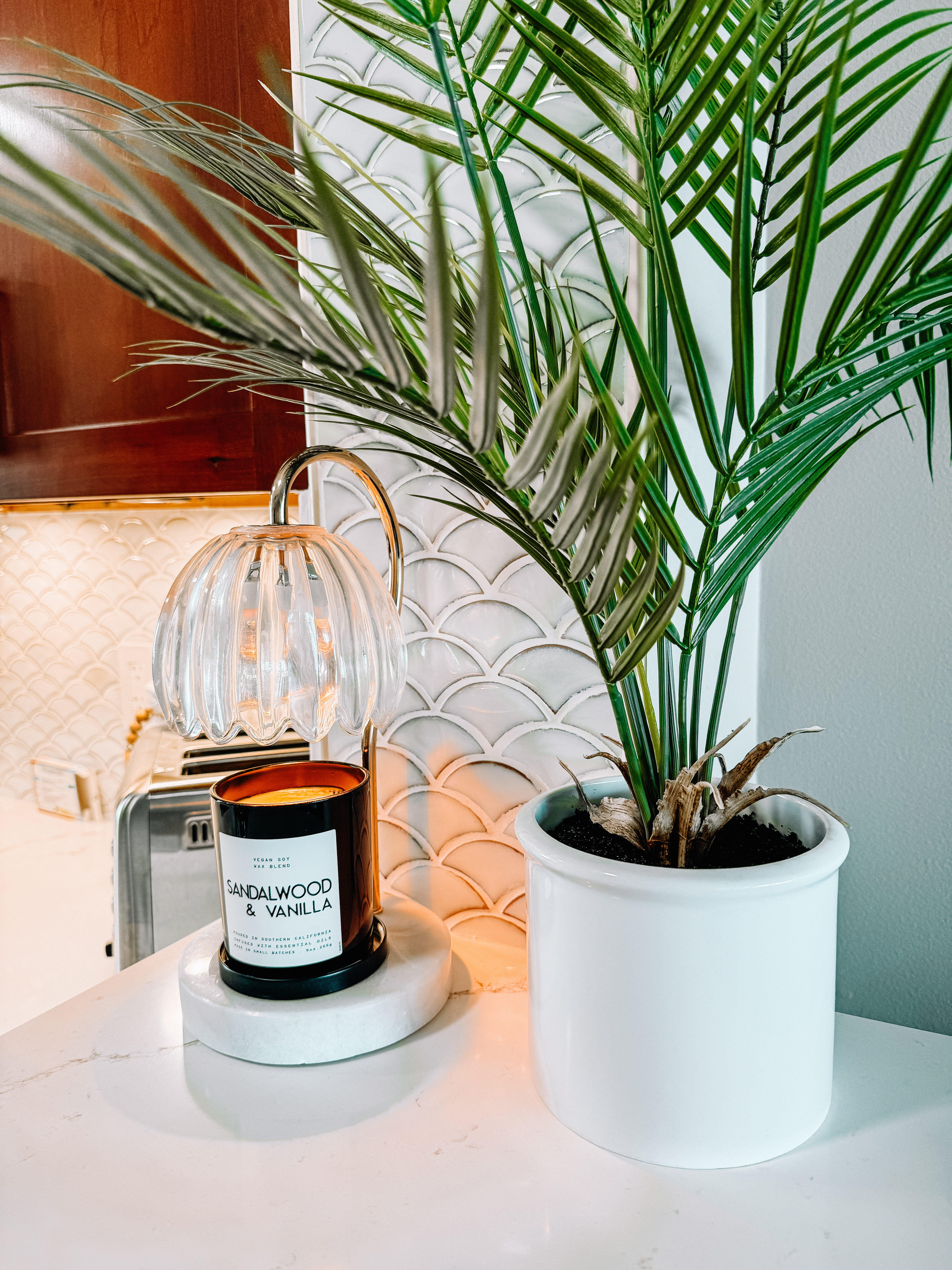 Coastal kitchen counter styling with a candle warmer lamp and tropical palm decor. This glass dome candle warmer creates a cozy glow while melting a sandalwood & vanilla soy candle, no open flame needed! It adds a touch of coastal home decor perfect for kitchens, coffee bars, or living rooms. Great for neutral, modern, and beach house styles.  

 #LTKHome #LTKFindsUnder50 #LTKStyleTip